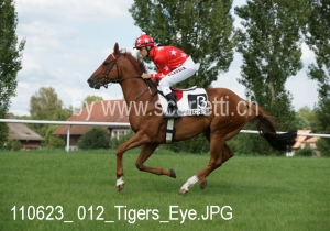 Kategorie: Avenches 23.Juni 2011